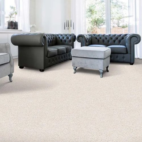 Contemporary carpet in Shelby Township, MI from Main Floor Coverings